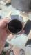 Samsung Watch 5 Pro