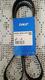  Correa Poly V SKF Modelo 6PK1437 (NUEVA)