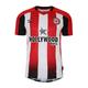 fake Brentford shirts 2024-2025