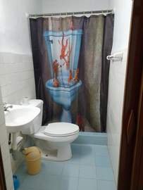 img1
