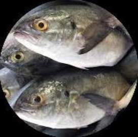 img0