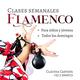 Clases de baile flamenco
