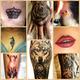 Estudio de tatuajes profesional Capital Ink