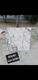 .Azulejos de 40x40 