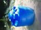  2 TANQUE AZULES PLASTICO 600LT C/U