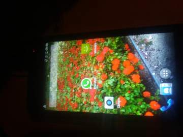 img1